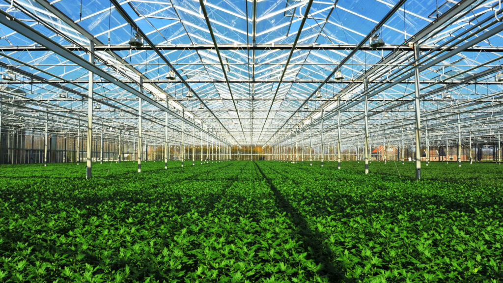 Başvurular yatırımcılarımızın talepleri üzerine 30 Eylül 2025 Salı gününe kadar uzatıldı.